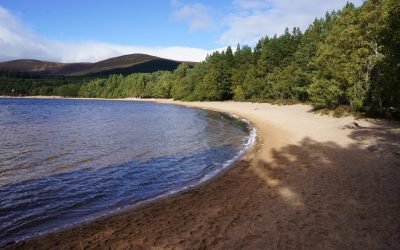 Cairngorms Visitor Hub